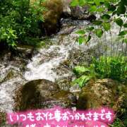 ヒメ日記 2025/07/17 16:11 投稿 めぐ 福島美女図鑑