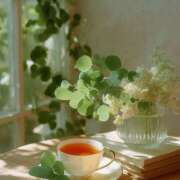 ヒメ日記 2025/07/28 08:44 投稿 めぐ 福島美女図鑑