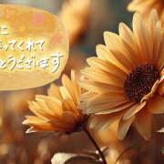 ヒメ日記 2025/08/02 22:09 投稿 めぐ 福島美女図鑑