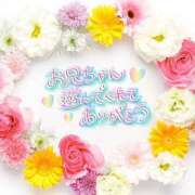 ヒメ日記 2025/08/14 09:25 投稿 めぐ 福島美女図鑑