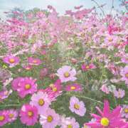 ヒメ日記 2025/08/18 09:19 投稿 めぐ 福島美女図鑑