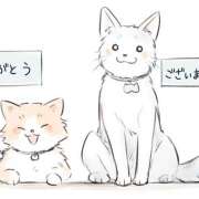 ヒメ日記 2025/08/25 22:00 投稿 めぐ 福島美女図鑑