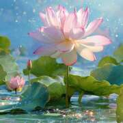 ヒメ日記 2025/09/06 10:13 投稿 めぐ 福島美女図鑑