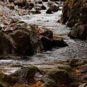 ヒメ日記 2025/09/24 08:21 投稿 めぐ 福島美女図鑑