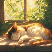 ヒメ日記 2025/10/15 11:56 投稿 めぐ 福島美女図鑑