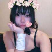 ヒメ日記 2025/04/28 11:05 投稿 りゅつ ドMなバニーちゃん すすきの店