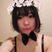 ヒメ日記 2025/04/29 09:05 投稿 りゅつ ドMなバニーちゃん すすきの店