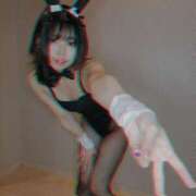 ヒメ日記 2025/04/29 11:19 投稿 りゅつ ドMなバニーちゃん すすきの店