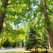 ヒメ日記 2025/06/16 10:15 投稿 りゅつ ドMなバニーちゃん すすきの店