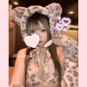 ヒメ日記 2025/05/07 14:45 投稿 くるみ アラカルト