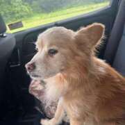 ヒメ日記 2025/08/13 10:17 投稿 れいな ダンシングおっぱいTEAM爆