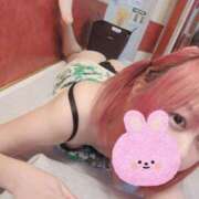 ヒメ日記 2025/04/09 09:38 投稿 みこと スイカ