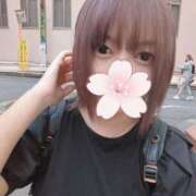 ヒメ日記 2025/05/11 18:19 投稿 みこと スイカ