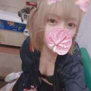 ヒメ日記 2025/06/12 11:06 投稿 みこと スイカ