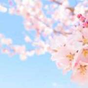 ヒメ日記 2025/04/26 16:03 投稿 ゆめ奥様【VIP】 金沢の20代30代40代50代が集う人妻倶楽部