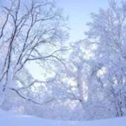 ヒメ日記 2025/11/02 12:03 投稿 ゆめ奥様【VIP】 金沢の20代30代40代50代が集う人妻倶楽部