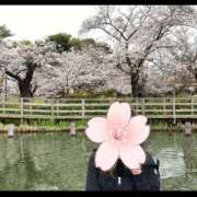 ヒメ日記 2025/04/06 18:30 投稿 のりか 奥鉄オクテツ東京店（デリヘル市場）