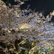 ヒメ日記 2026/04/12 11:40 投稿 なつみ ヌーベル・マリエ