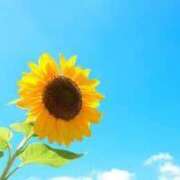 ヒメ日記 2025/04/10 13:35 投稿 ひまり 池袋デリヘル倶楽部