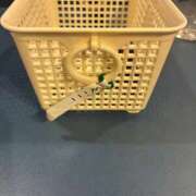 ヒメ日記 2025/10/29 00:08 投稿 ひまり 池袋デリヘル倶楽部