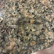 ヒメ日記 2026/02/10 17:25 投稿 ひまり 池袋デリヘル倶楽部