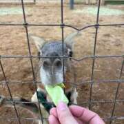 ヒメ日記 2026/02/24 16:05 投稿 ひまり 池袋デリヘル倶楽部