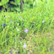 ヒメ日記 2025/05/25 23:43 投稿 前園咲夜 札幌ソフィア