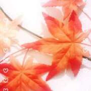 前園咲夜 いきたいっっ 札幌ソフィア