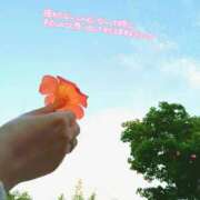 前園咲夜 ありがとうございました💗 札幌ソフィア