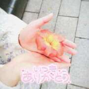 前園咲夜 💗6/30(火)の御礼です💌 札幌ソフィア