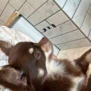 ヒメ日記 2025/06/19 08:03 投稿 みなみ 新宿平成女学園