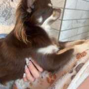 ヒメ日記 2025/06/23 10:55 投稿 みなみ 新宿平成女学園