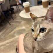 ヒメ日記 2025/07/24 20:08 投稿 みなみ 新宿平成女学園