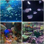 ヒメ日記 2025/10/06 22:00 投稿 みなみ 新宿平成女学園