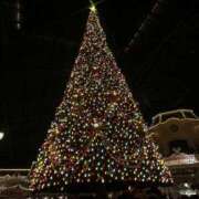 ヒメ日記 2025/11/27 21:05 投稿 みなみ 新宿平成女学園