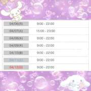 ヒメ日記 2026/04/06 08:50 投稿 みなみ 新宿平成女学園