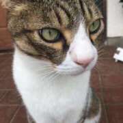 ヒメ日記 2025/11/01 08:13 投稿 ちはる チューリップ土浦店