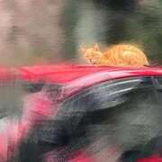 ヒメ日記 2025/11/05 17:38 投稿 ちはる チューリップ土浦店