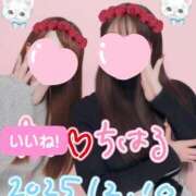 ヒメ日記 2025/12/16 05:48 投稿 ちはる チューリップ土浦店