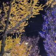 ヒメ日記 2025/12/15 23:45 投稿 ワカナ♡濃厚プレイ超絶プレイ ドMなバニーちゃん 名古屋・池下店