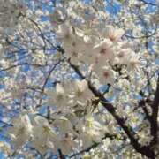 ヒメ日記 2026/04/13 14:17 投稿 ワカナ♡濃厚プレイ超絶プレイ ドMなバニーちゃん 名古屋・池下店