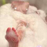 ヒメ日記 2025/05/12 14:05 投稿 ゆーあ ピンクコレクション尼崎店