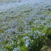 ヒメ日記 2025/05/03 09:22 投稿 さゆ 君とふわふわプリンセスin立川