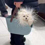 ねる 【お礼写メ日記】 SCREEN(スクリーン)