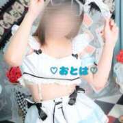 ヒメ日記 2025/04/13 13:14 投稿 おとは 池袋人妻ヒットパレード（シンデレラグループ）