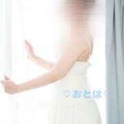 ヒメ日記 2025/04/27 11:41 投稿 おとは 池袋人妻ヒットパレード（シンデレラグループ）