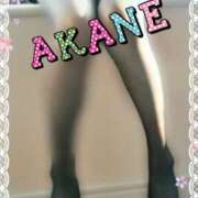 ヒメ日記 2025/03/04 14:04 投稿 須藤あかね イキます 女子ANAウンサー