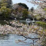 ヒメ日記 2025/04/10 12:50 投稿 みさき 錦糸町人妻ヒットパレード（シンデレラグループ）