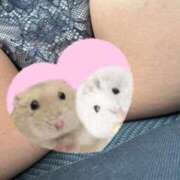 るな 久々の出勤 群馬伊勢崎ちゃんこ