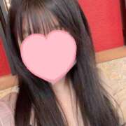 ヒメ日記 2025/04/16 08:05 投稿 ことり 館山secret